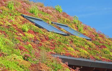 Bruntcliffe living roof systems
